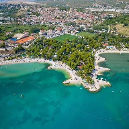 Pinia * Split